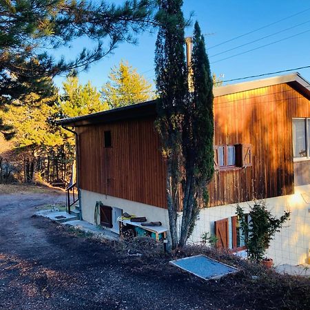Chalet Forest Saint-Apollinaire  Exterior photo