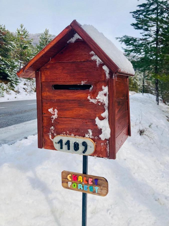 Chalet Forest Saint-Apollinaire  Exterior photo